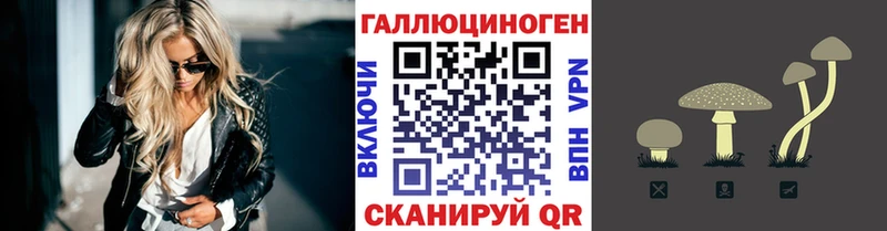 Купить где  Сасово  Псилоцибиновые грибы Magic Shrooms 
